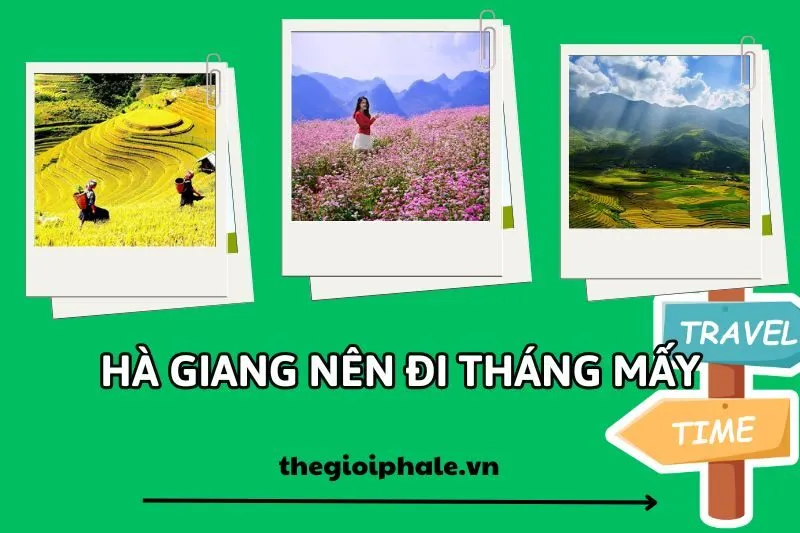 Hà Giang nên đi tháng mấy? Khám phá vẻ đẹp từng tháng qua cẩm nang chi tiết