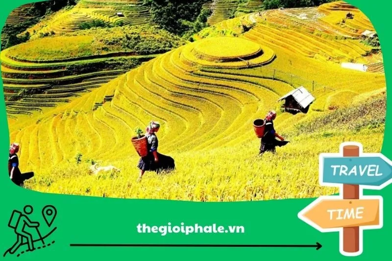 Nên đến Hà Giang vào tháng mấy