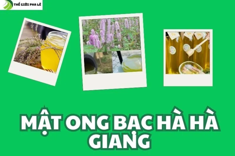 mật ong bạc hà hà giang