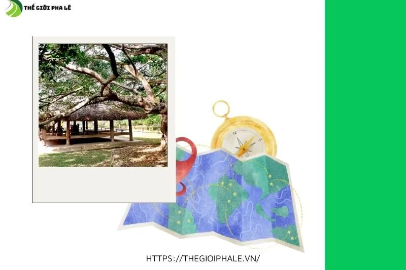 Đình Tân Trào – Vị Trí Lịch Sử Và Vai Trò Quan Trọng