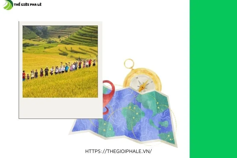 Giới Thiệu Tổng Quan Về Lễ Hội Hoàng Su Phì