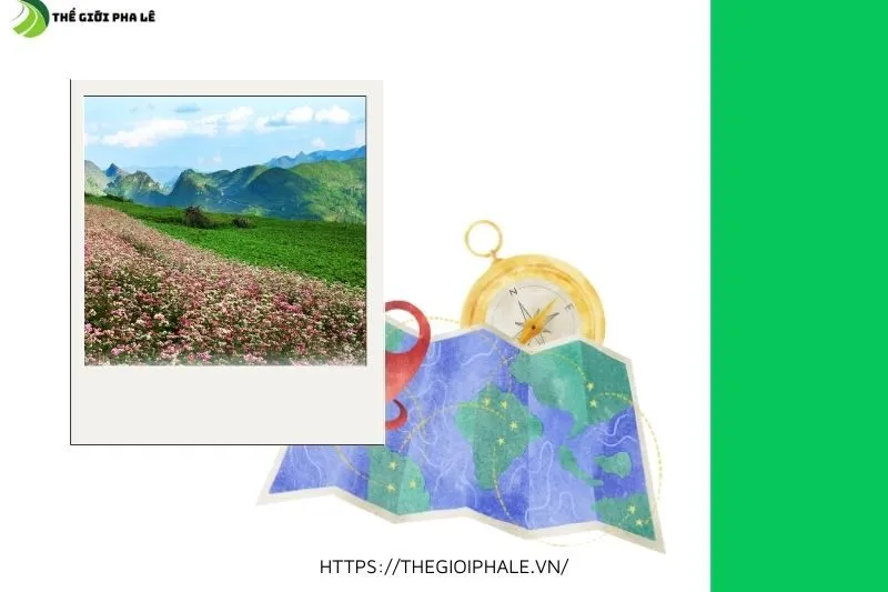 Phương tiện di chuyển đến Cao Nguyên Đá Đồng Văn